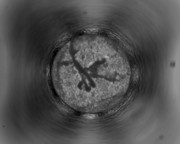 X0000103320711200810171401