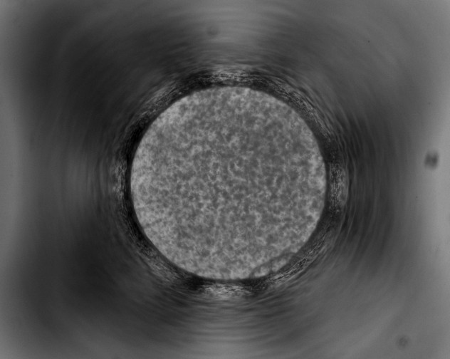 X0000103320712200810171401
