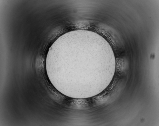 X0000103320713200810171401