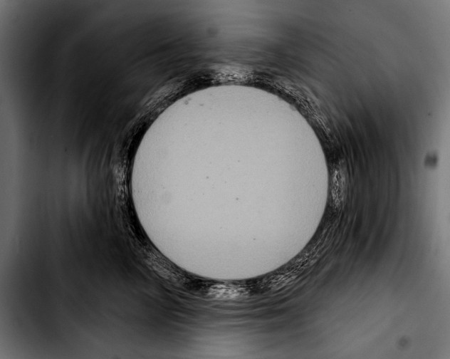 X0000103320714200810171401