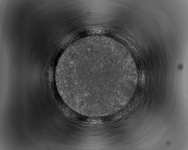 X0000103320715200810171401
