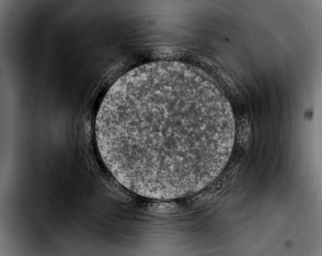 X0000103320716200810171401