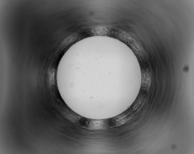 X0000103320717200810171401