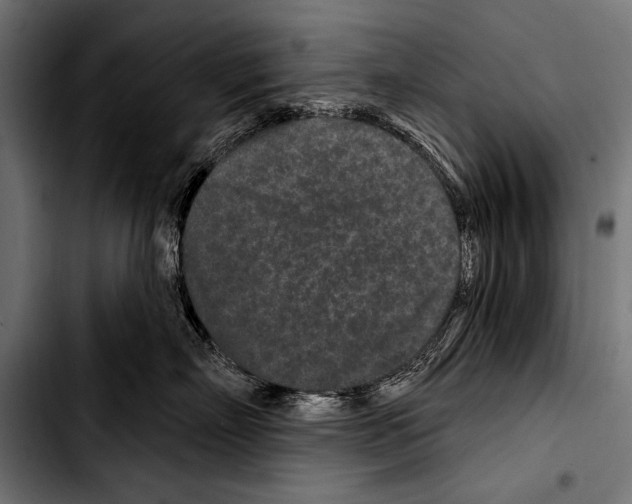 X0000103320718200810171401