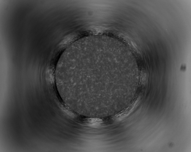 X0000103320719200810171401