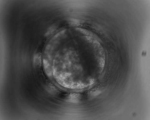 X0000103320720200810171401