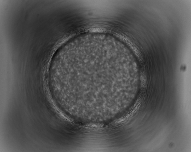 X0000103320721200810171400