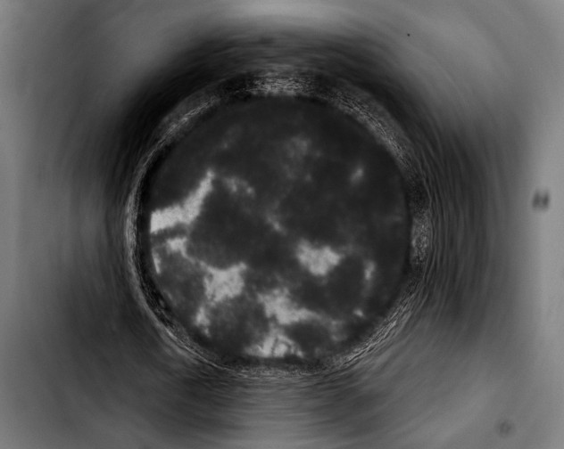 X0000103320722200810171400