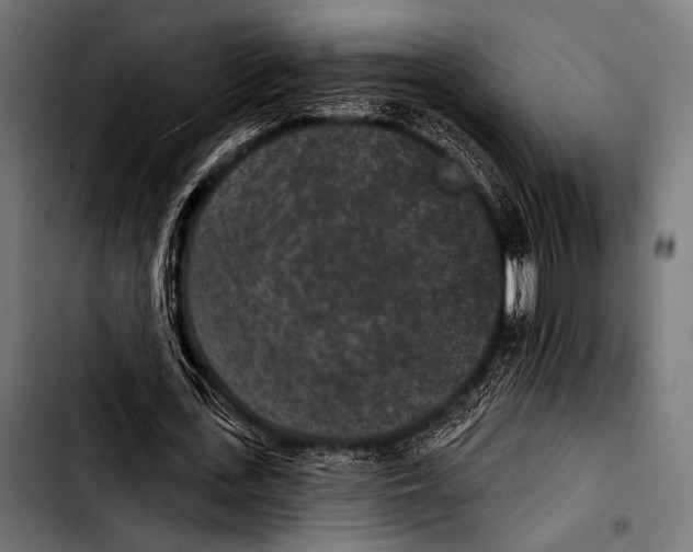 X0000103320723200810171400