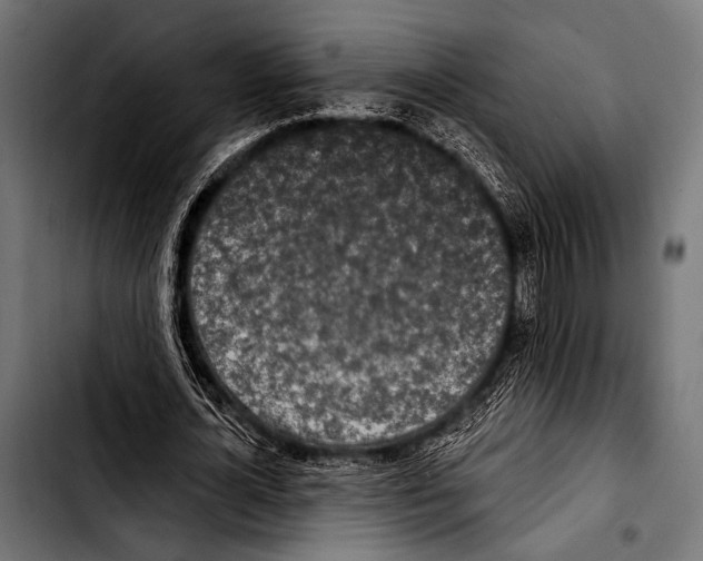 X0000103320724200810171400