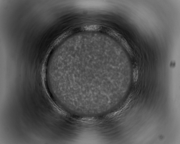 X0000103320725200810171400