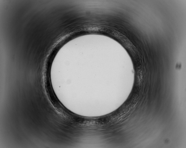 X0000103320728200810171400