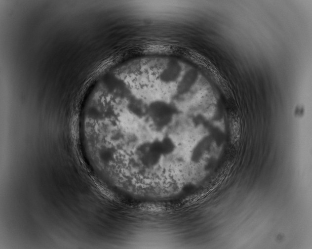 X0000103320729200810171400