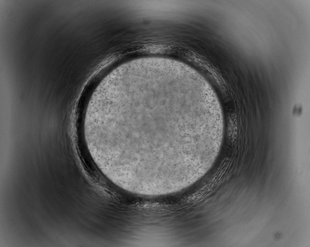 X0000103320730200810171400