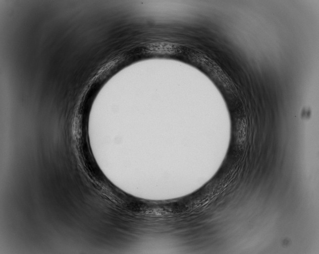X0000103320731200810171401
