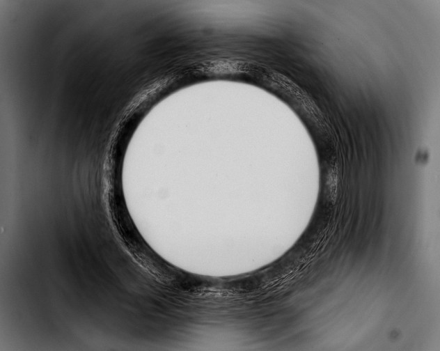 X0000103320732200810171401