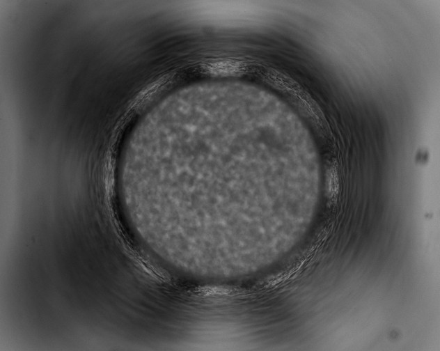 X0000103320733200810171401