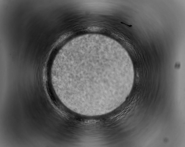 X0000103320734200810171401