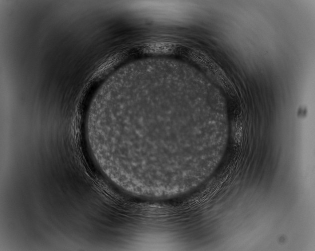 X0000103320735200810171401