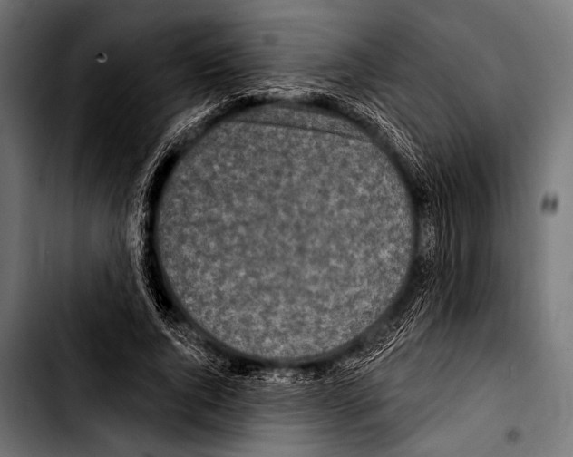 X0000103320736200810171401