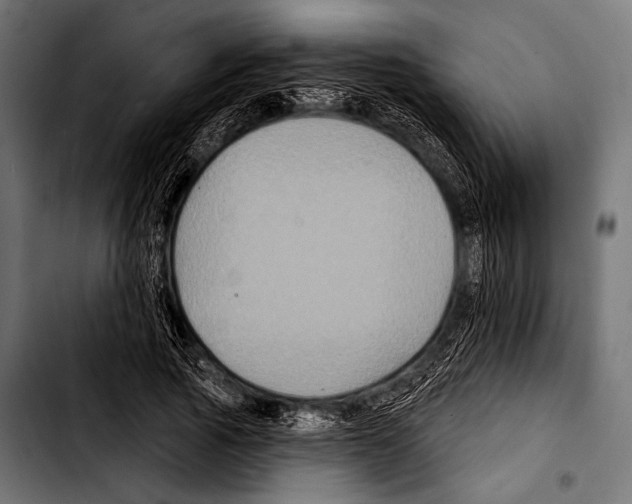 X0000103320737200810171401
