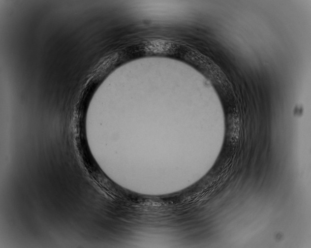 X0000103320738200810171401