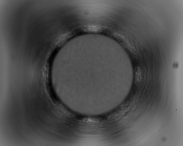 X0000103320739200810171401