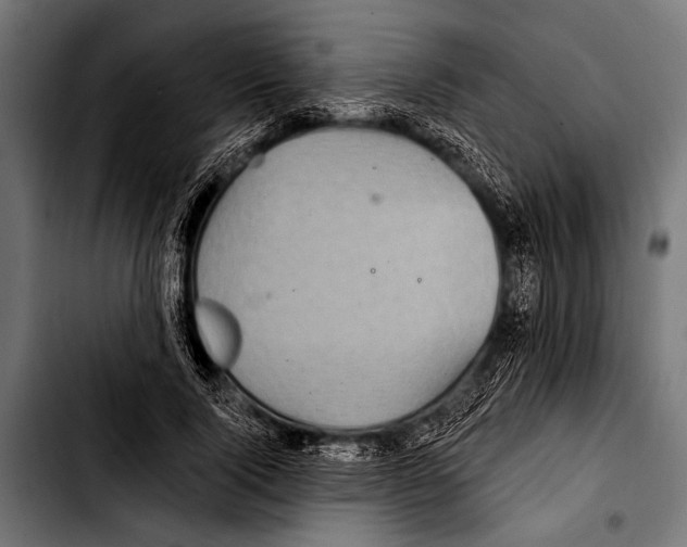 X0000103320740200810171401