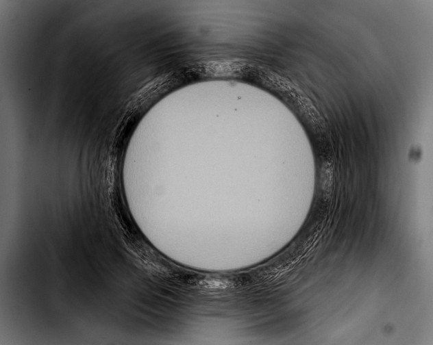 X0000103320741200810171401