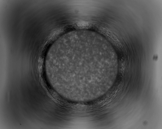 X0000103320742200810171401