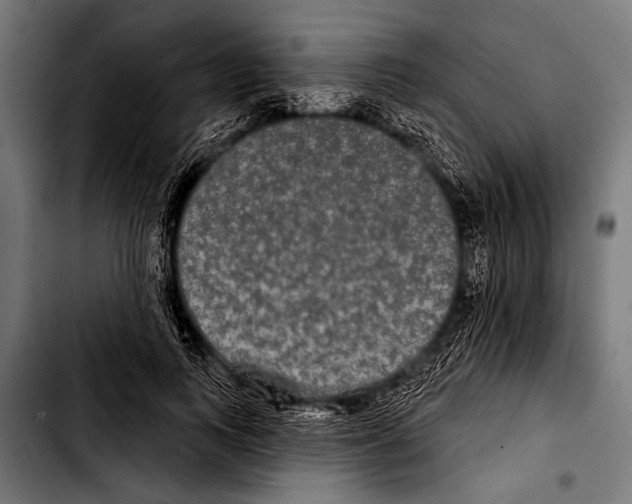X0000103320743200810171401