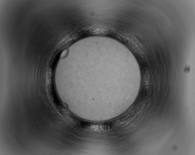 X0000103320744200810171401
