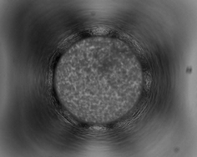 X0000103320745200810171401