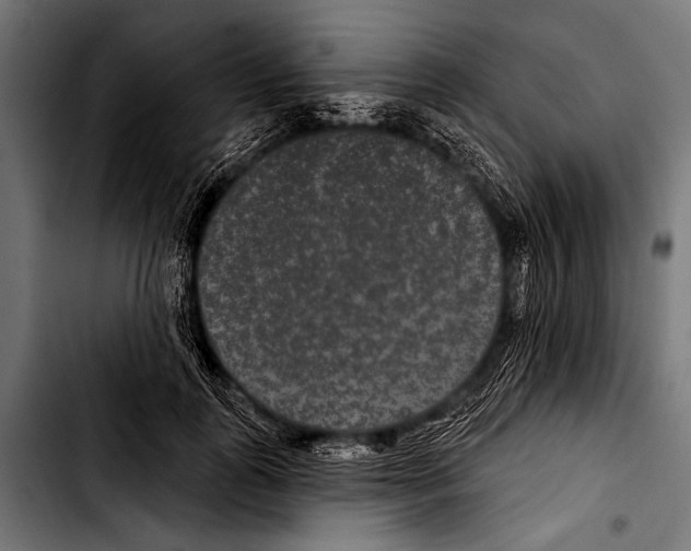 X0000103320747200810171401