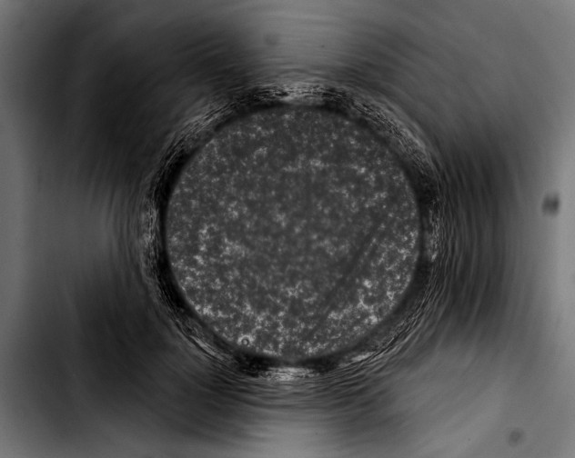 X0000103320748200810171401