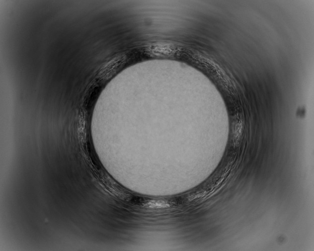 X0000103320749200810171401