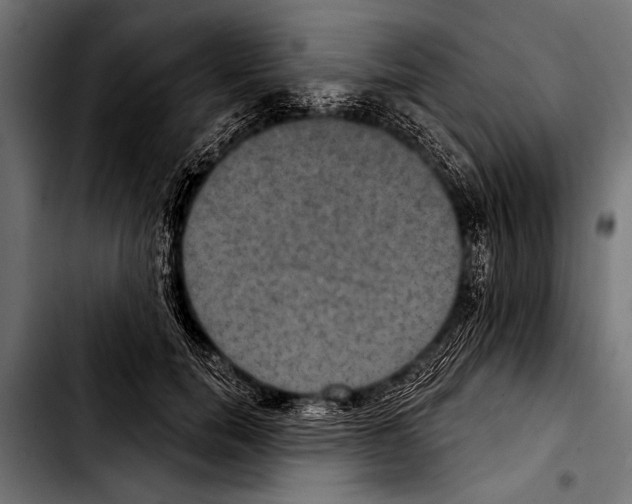 X0000103320750200810171401