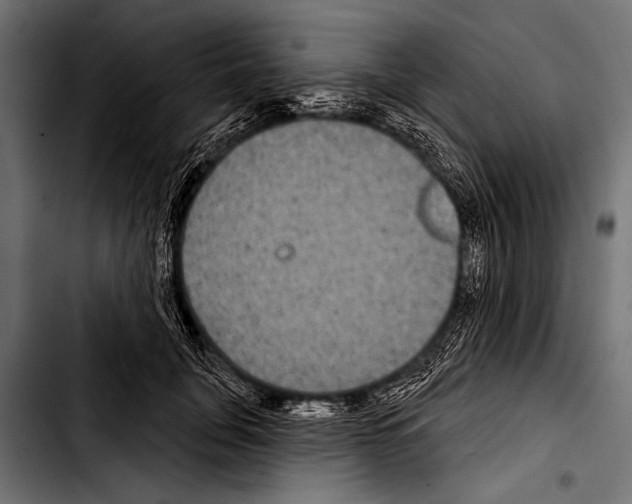 X0000103320751200810171401