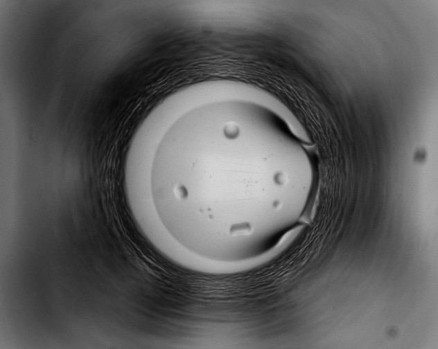 X0000103320752200810171401