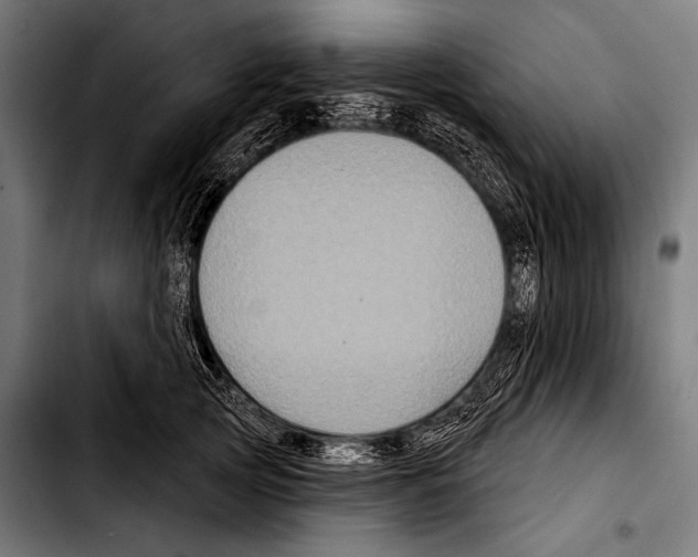X0000103320753200810171401