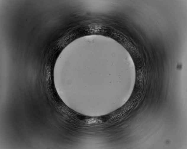 X0000103320754200810171401
