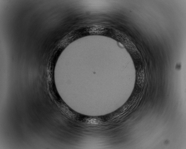X0000103320755200810171401