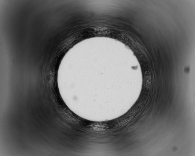 X0000103320756200810171401