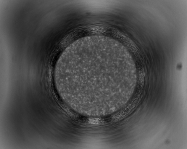X0000103320757200810171401