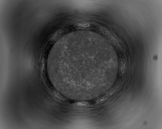 X0000103320758200810171401