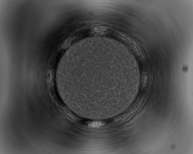 X0000103320759200810171401