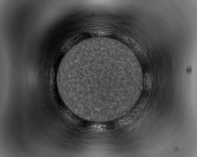 X0000103320760200810171401