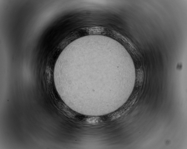 X0000103320761200810171401