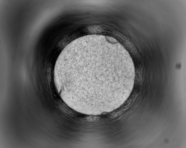 X0000103320762200810171401