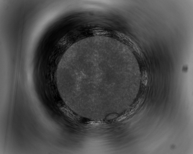 X0000103320763200810171401